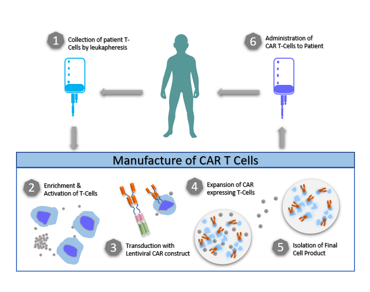 Cell Gene Therapy And Viral Vectors: How Can They Be Effective For ...